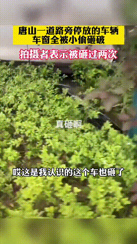 猖狂至极？唐山一道路旁停放车辆被砸，CCTV采访车也没能幸免（视频/组图） - 4