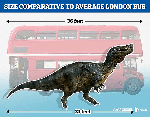 英国惊现鳄鱼脸恐龙 或是欧洲最大陆地食肉动物（组图） - 3