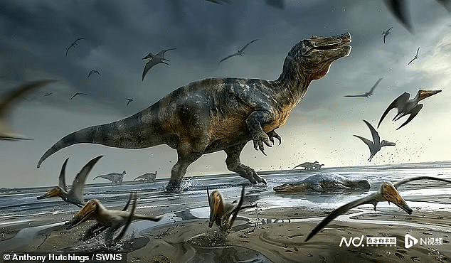 英国惊现鳄鱼脸恐龙 或是欧洲最大陆地食肉动物（组图） - 6