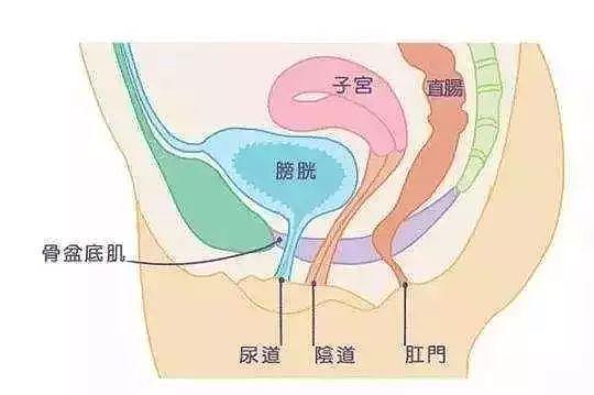 【两性】啪啪啪后尿尿有讲究，男女大不同，男生有3件事不能急，女生有2件事不能拖（组图） - 1