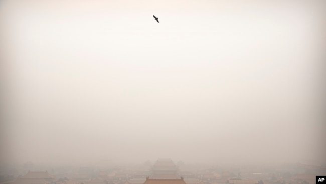 资料照：鸟瞰雾霾下的北京故宫。（2020年1月18日）
