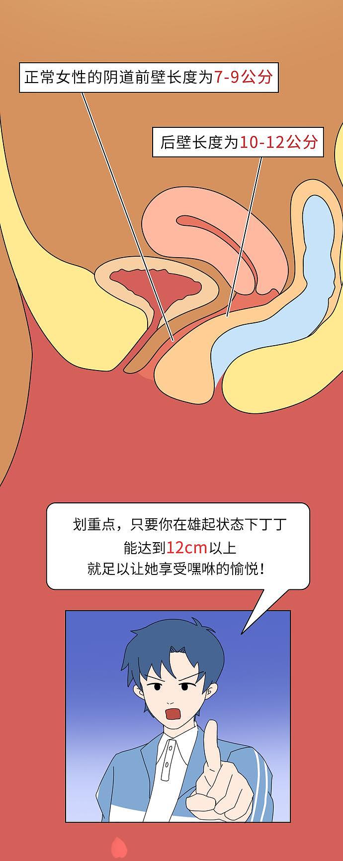 【两性】18厘米和40分钟，哪个更受女生欢迎？（组图） - 5