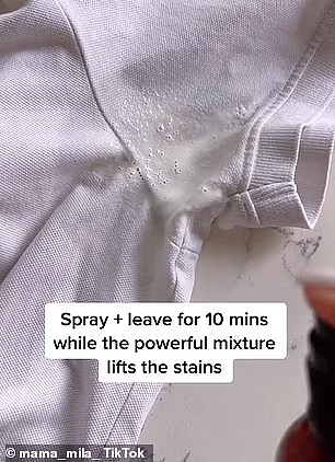 澳妈分享DIY清洁喷雾，轻松去除衣服汗渍！仅需十分钟（组图） - 3