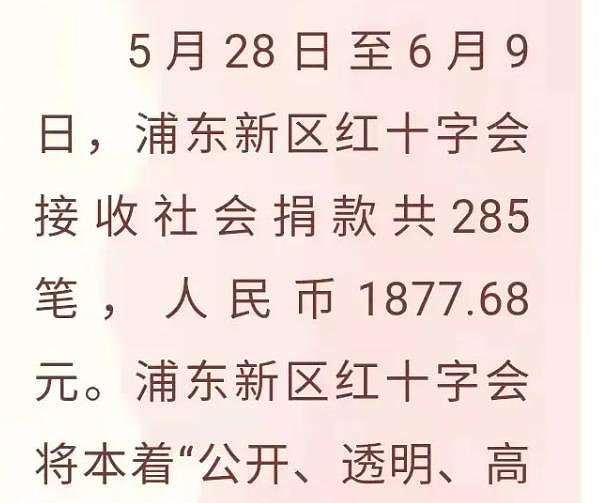 上海浦东红十字会公布抗疫捐款明细：总计1877.68元！252人捐3.28元，背后含义引热议（视频/组图） - 9
