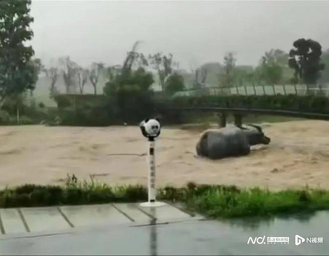 中国8省遭遇超级暴雨！多人遇难，连房带人全冲走，最可怕的你却看不到（组图） - 16