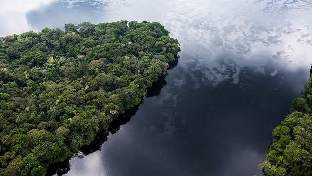 姆班达卡附近Lokolama/Penzele泥炭地森林的鸟瞰图. © Daniel Beltrá / Greenpeace Africa 2017