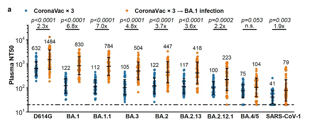图2 奥密克戎不同亚型对科兴灭活疫苗接种者的免疫逃逸能力 | 图源：图源[4]