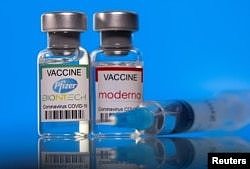 辉瑞疫苗和莫德纳疫苗