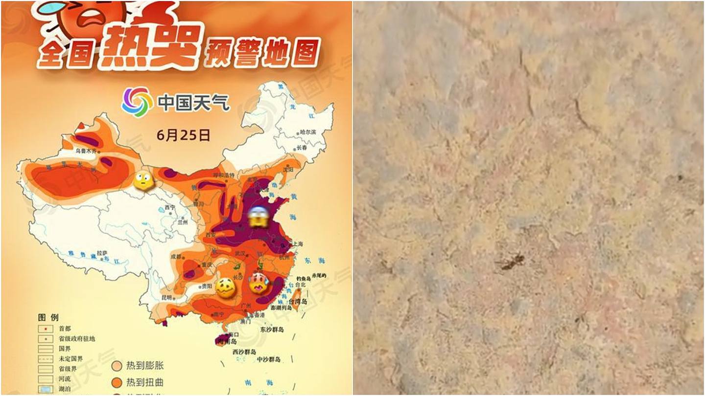 内地多地酷热！ 河南山东突破40℃ 网民实测：蚂蚁在路面活不过3秒