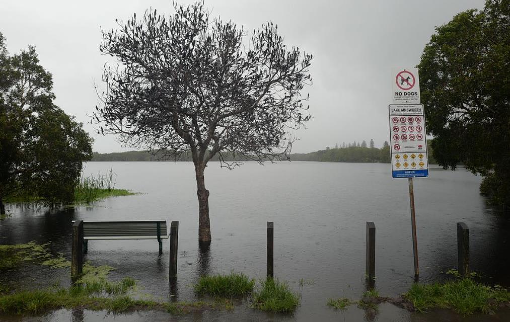 恐连下8天雨！澳洲部分地区将迎罕见降雨，记录可能被打破（组图） - 3