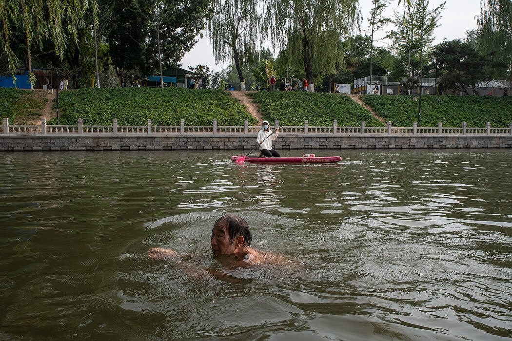 北京水道中划水和游泳的人。