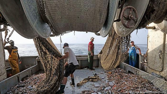 渔业| 家企业  拖网捕捞