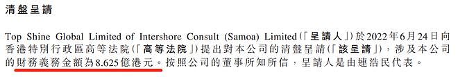 要清盘恒大的，是香港特首选委，才29岁（组图） - 4