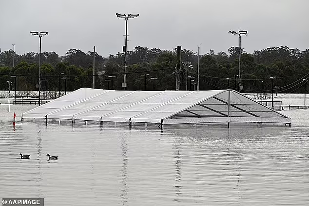 狂风暴雨侵袭大悉尼，50多万人被要求撤离！悉尼男子遇险，不幸溺亡（视频/组图） - 13