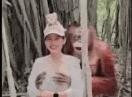 美女游客被红毛猩猩袭胸强吻，魔性表情吸引万人观看，网友：不可以色色！（视频/组图）