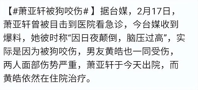 42岁萧亚轩浓妆亮相，官宣复出，被狗咬伤后容貌有变化（组图） - 30