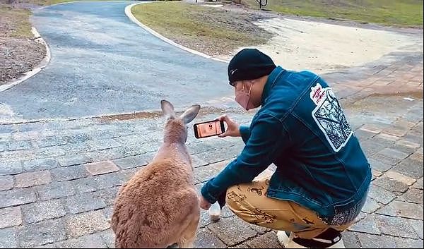 ▲周杰伦跟袋鼠一起看新歌MV。 （图／翻摄自Instagram／Jay Chou 周杰伦）