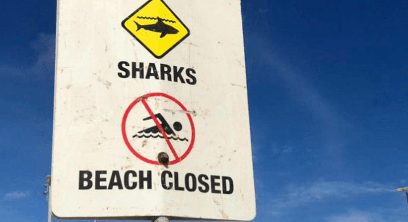 珀斯北部人气海滩发现鲨鱼，离岸仅100米，官方今天第二次发布鲨鱼警告（图） - 2
