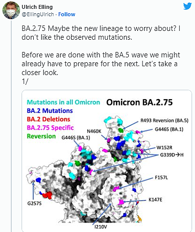 Omicron新变种现身澳洲！绰号“半人马”，免疫逃逸性或强于BA.5（组图） - 4