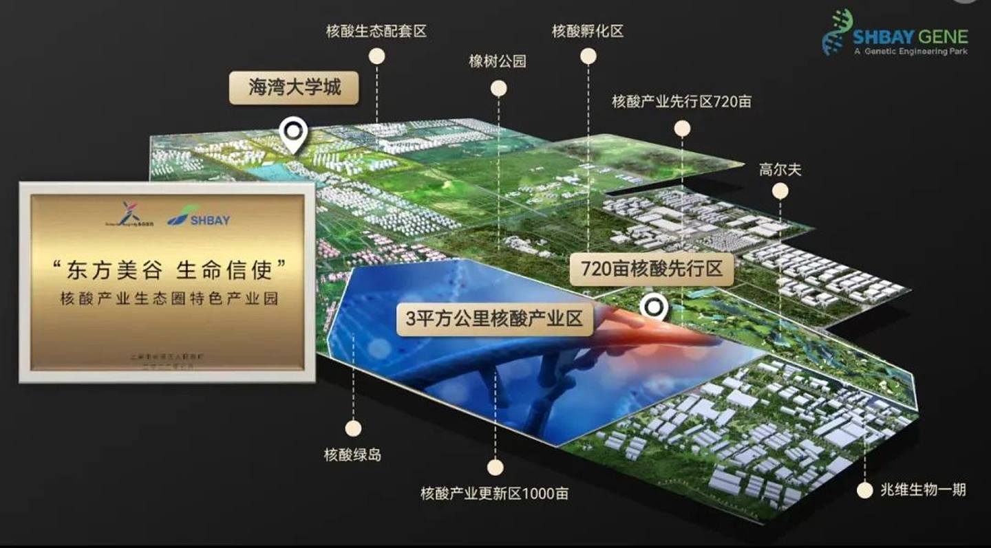 核酸产业园规划图。 （上海奉贤区官方微信公众号）