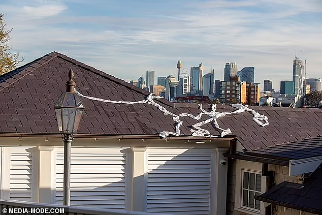 澳航CEO悉尼豪宅被扔鸡蛋，长串卫生纸挂在屋顶！引网友调侃（组图） - 3