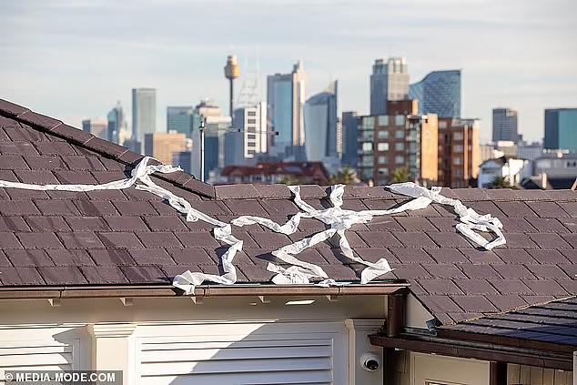澳航CEO悉尼豪宅被扔鸡蛋，长串卫生纸挂在屋顶！引网友调侃（组图） - 8
