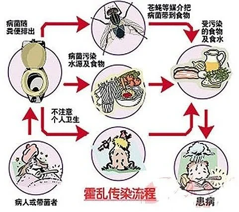 陆媒：武汉霍乱感染源头在哪？这或许是一条线索（组图） - 32