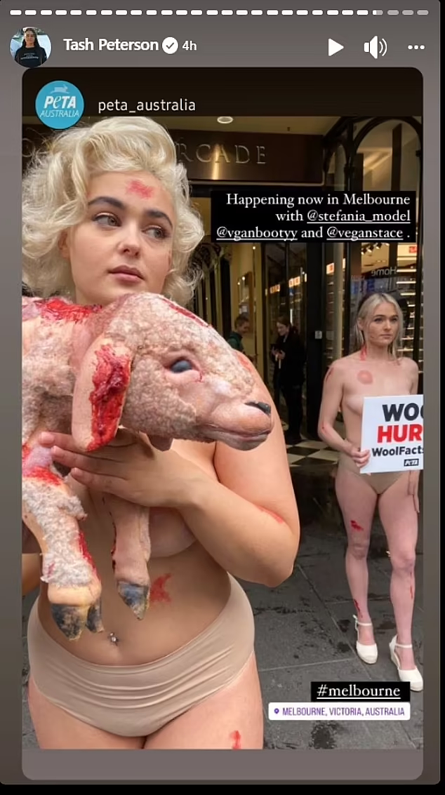 澳素食“网红”抵达墨尔本，于CBD赤裸上身发起抗议！自曝或去悉尼（视频/组图） - 3