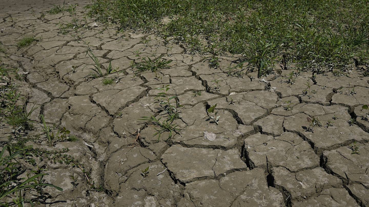 极端天气：图为2022年7月14日，意大利托里切拉发生旱灾。 （AP）