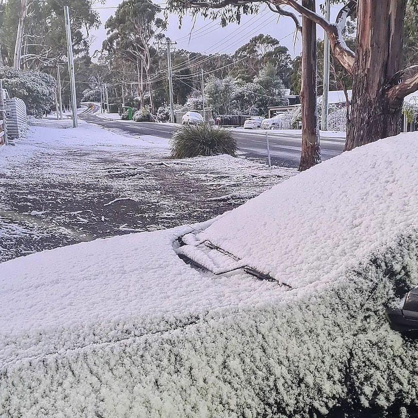 Snow covering a car windshield and a street.