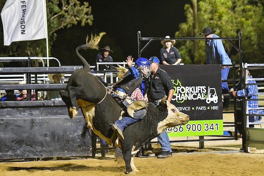 Bonnie on top of a black bucking bull wearing protective clothing and a helmet with one hand in the air