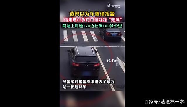 12岁男孩高速路带妹妹狂飙100公里，哥哥：全凭玩游戏经验（组图） - 5