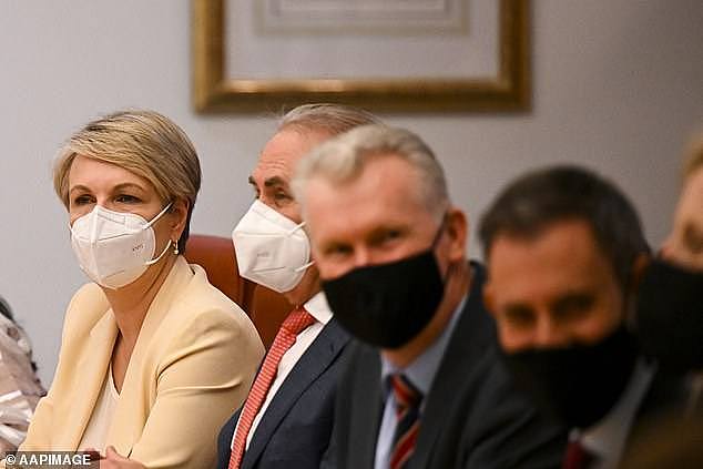 The gratutious stunt came after an ABC campaign to bring back the hated mask mandates for Australia ahead of a fresh wave of the infection