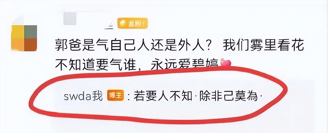 不护女婿了？郭碧婷父亲谈向佐风波，暗指其乱来，自己只支持女儿（组图） - 6