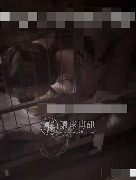 曝台湾人赴柬埔寨遭诈骗囚禁？惊悚照流出：男女全身赤裸关狗笼（组图） - 3