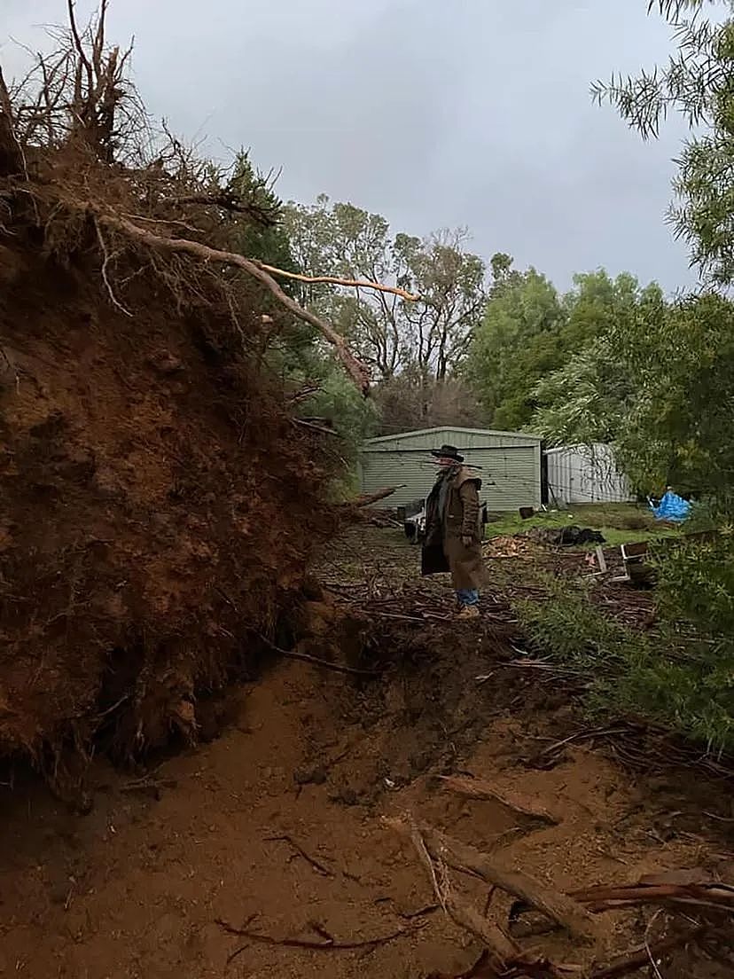 恶劣天气警报！珀斯遭狂风暴雨席卷，超3万家庭停电，多起事故连发（组图） - 6