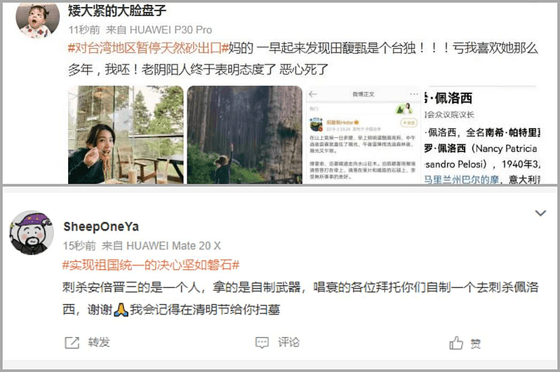 波洛西访台，引来中国网民激愤言论。（取材自微博）
