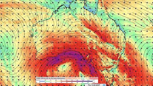 Forecast wind gust speed and direction at 1pm AEST on Thursday, according to the ECMWF-HRES model.