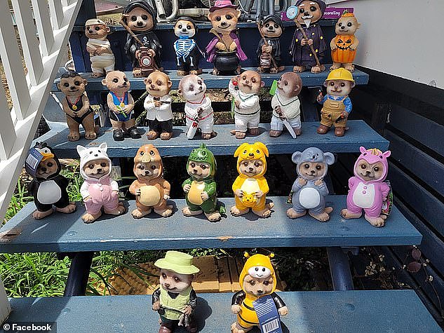 Mum-of-two Foodie Mumma Ren shared the news on Facebook and others were eager to rush to the supermarket (pictured: a customer's meerkat statue collection)