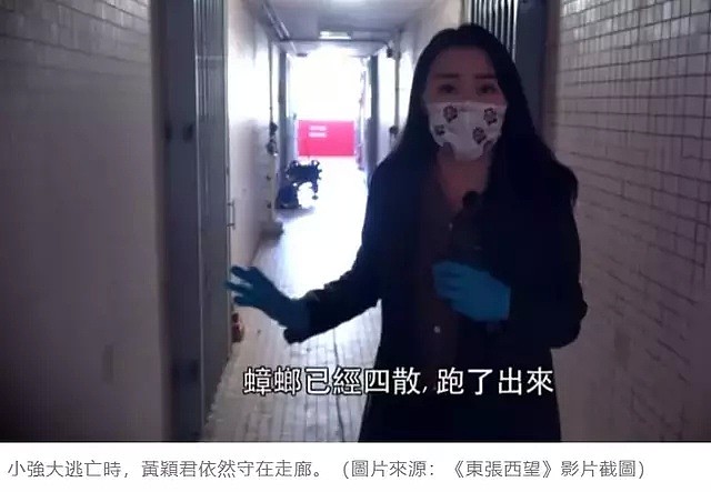 34岁港姐离开TVB近1年，转行公务员月入5万，近期突传离职惹争议（组图） - 20