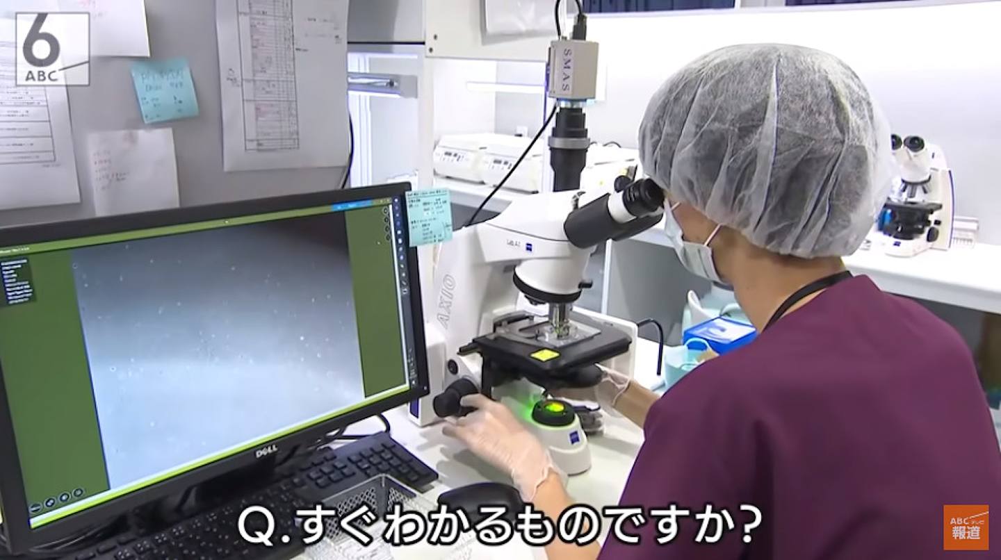 日本每100个人就有1人患有无精子症（YouTube：@ABCテレビニュース）