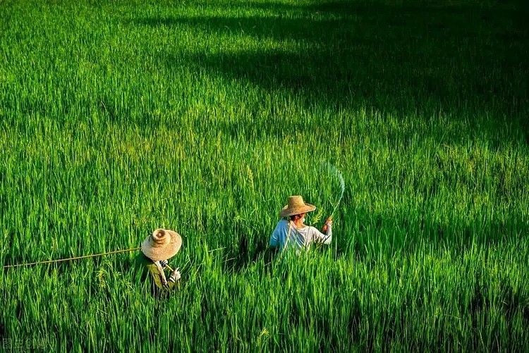 华人35岁跑非洲打工：娶非洲媳妇，生三个混血儿（组图） - 2