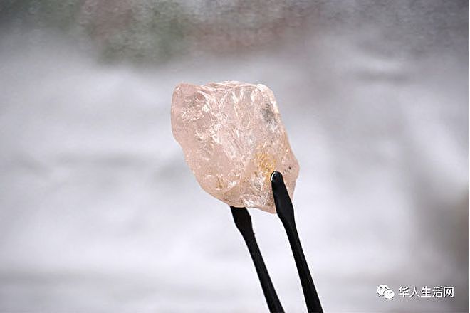 天价！300年来最大粉红钻在非洲出土，重达170克拉（组图） - 2