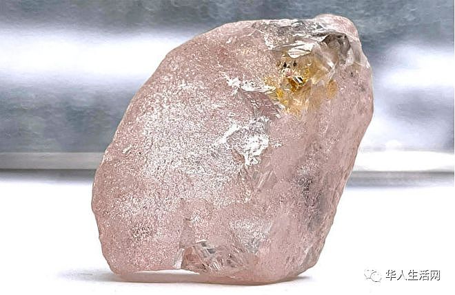 天价！300年来最大粉红钻在非洲出土，重达170克拉（组图） - 1