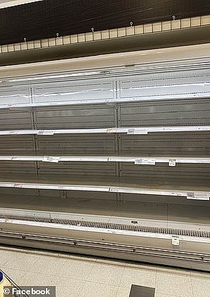 Eggs have become the latest essential to go missing from Australian supermarket shelves, with a NSW farmer suggesting the shortage could last until October
