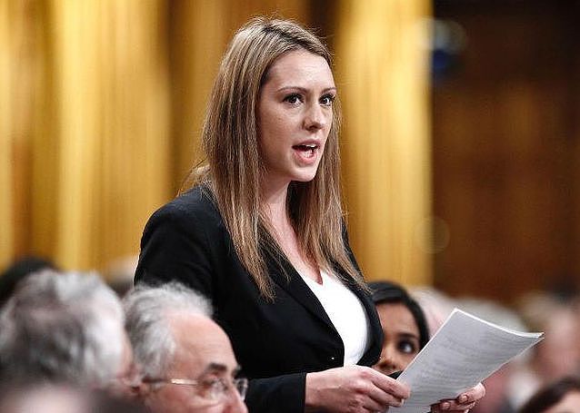 加拿大议员开会“不慎”全裸出镜！女同事目不转睛看完：身材真棒（组图） - 1