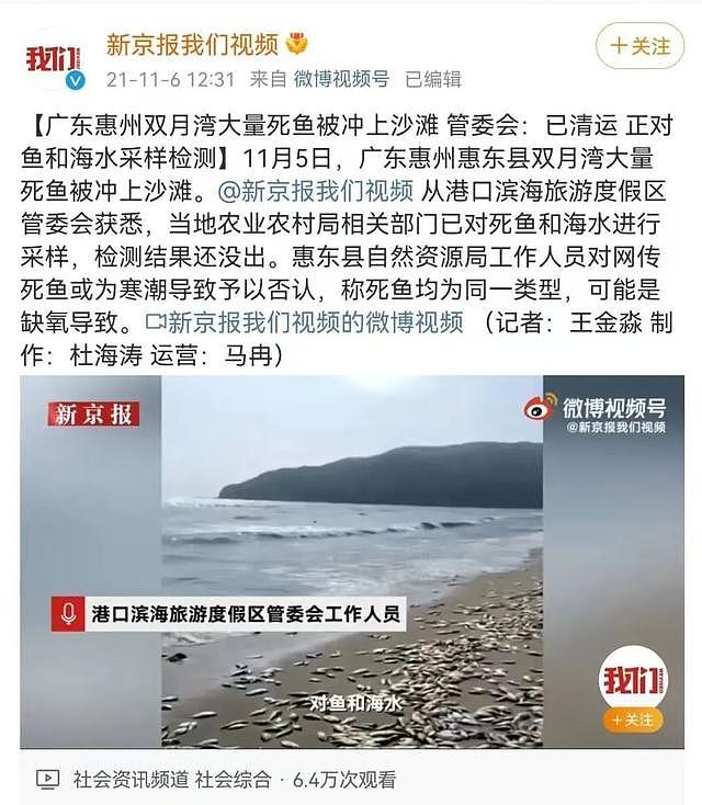 海滩上出现大量死鱼，系解放军演习所致？（组图） - 5