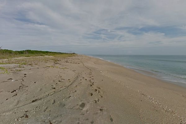 ▲▼美国佛州哈钦森岛（Hutchinson Island）洛克海滩（Rock Beach）。 （图／翻摄Google Maps）