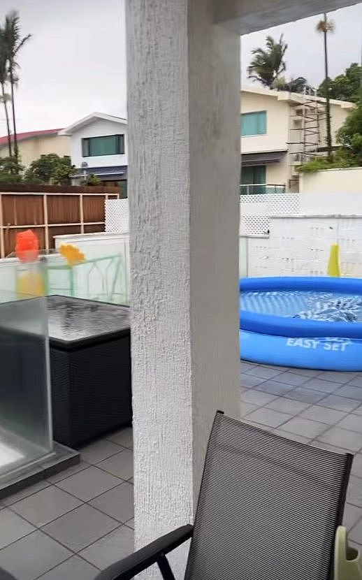 “阔太”张柏芝晒豪宅后院，泳池都是塑料的，一圈围栏发黑显老旧（组图） - 3