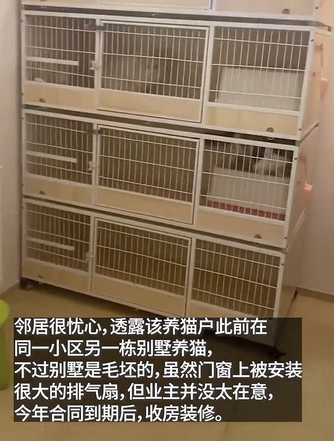 3000万元的上海独栋别墅，被租客改成猫舍散发异味！华人业主回国崩溃（组图） - 15